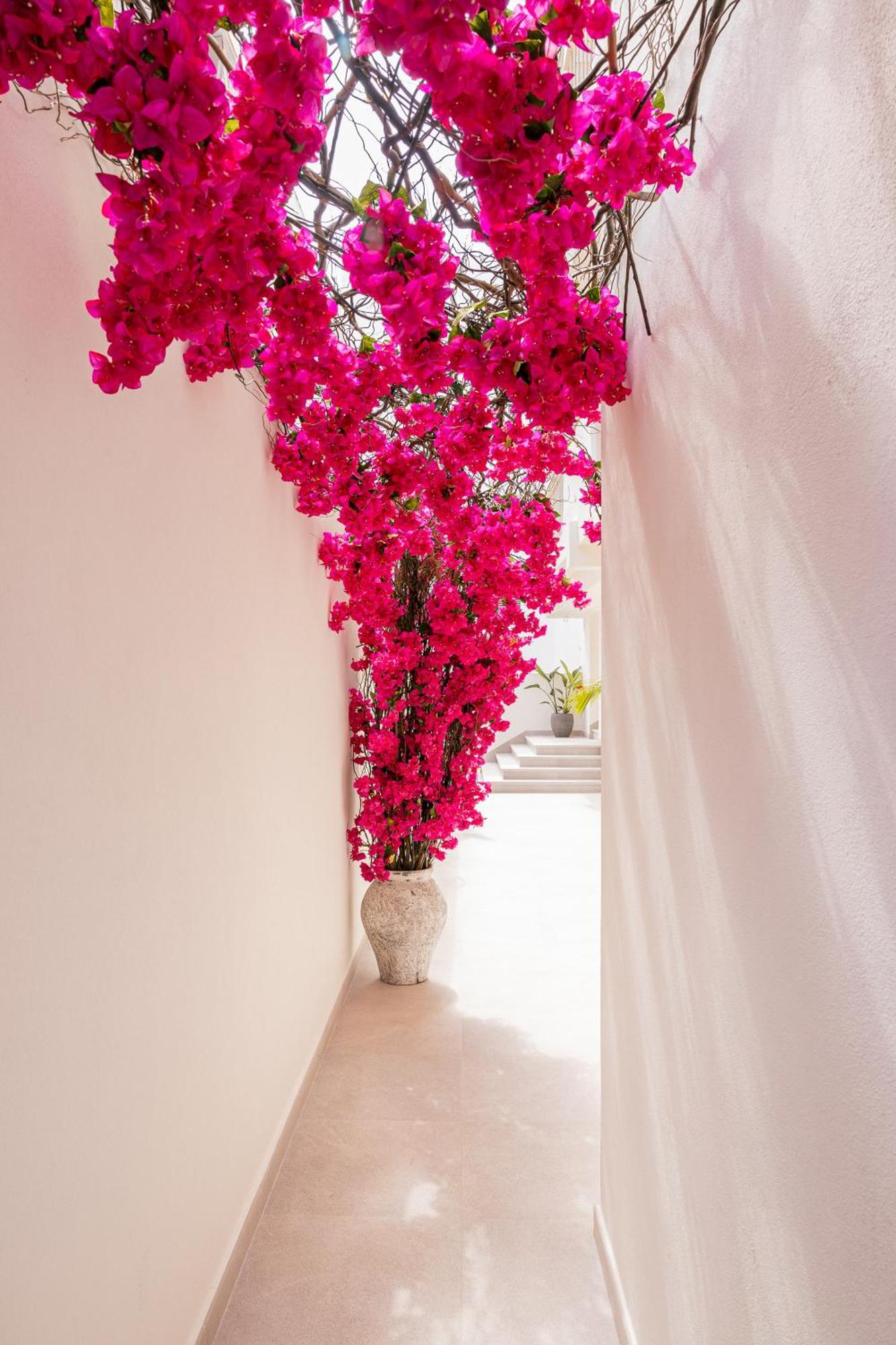 Malacosta A - Mc Apartments Ibiza Dış mekan fotoğraf